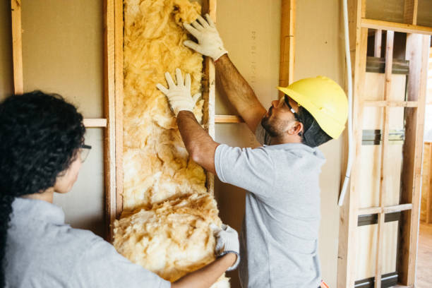 Best Insulation Repair Services  in Summit Park, UT
